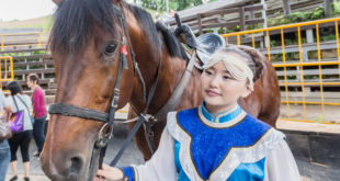 台灣旅遊 - 統聯清境之旅之2 x 馬兒真的很會跑 11