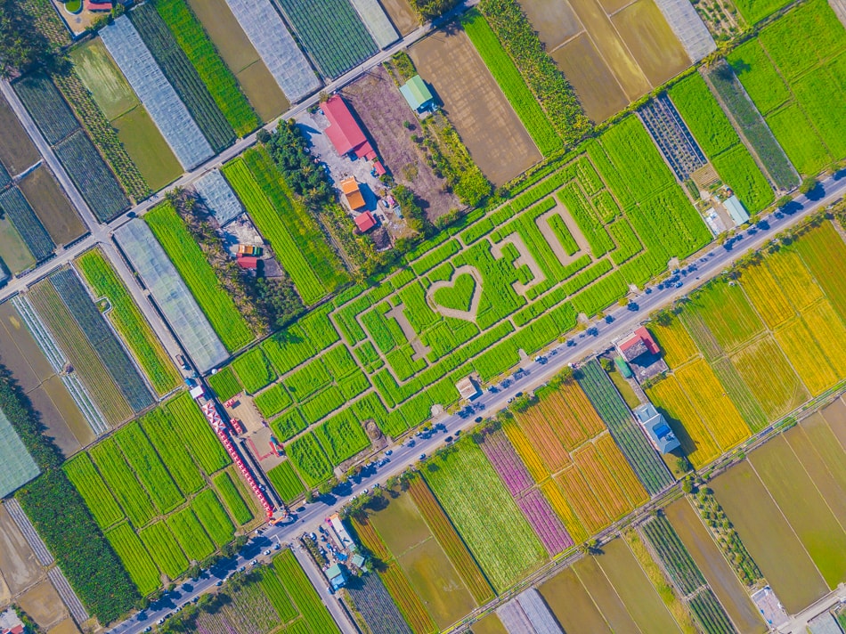 杉林花海空拍