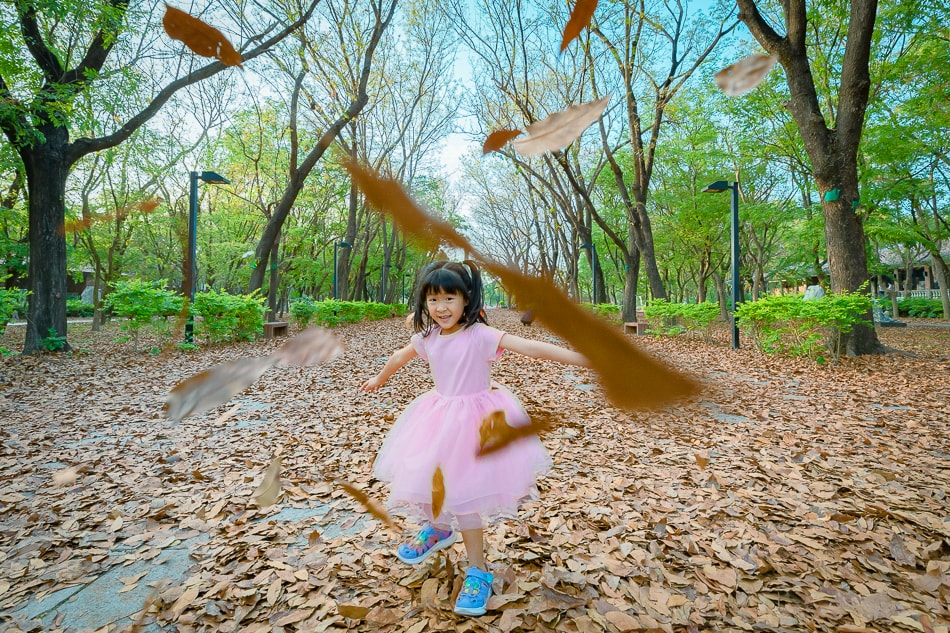 高雄都會公園