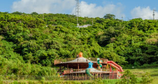 沖繩自駕行DAY3-4 - 中城公園 x 沖繩最大縣營公園 | 可容納100人的超大彈跳床 19