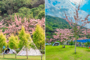 嚮露靈象山六龜露營區 x 高雄最美露營區 - 醒來就能看到粉紅花陣雨 | 超大草坪 | 戲水區 | 白沙區 |