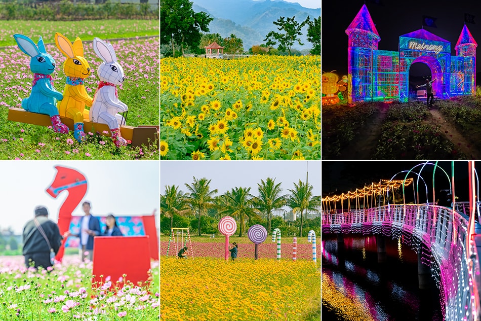 美濃花海