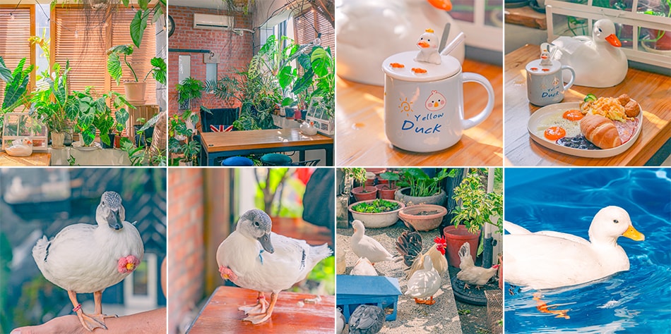Coda coffee