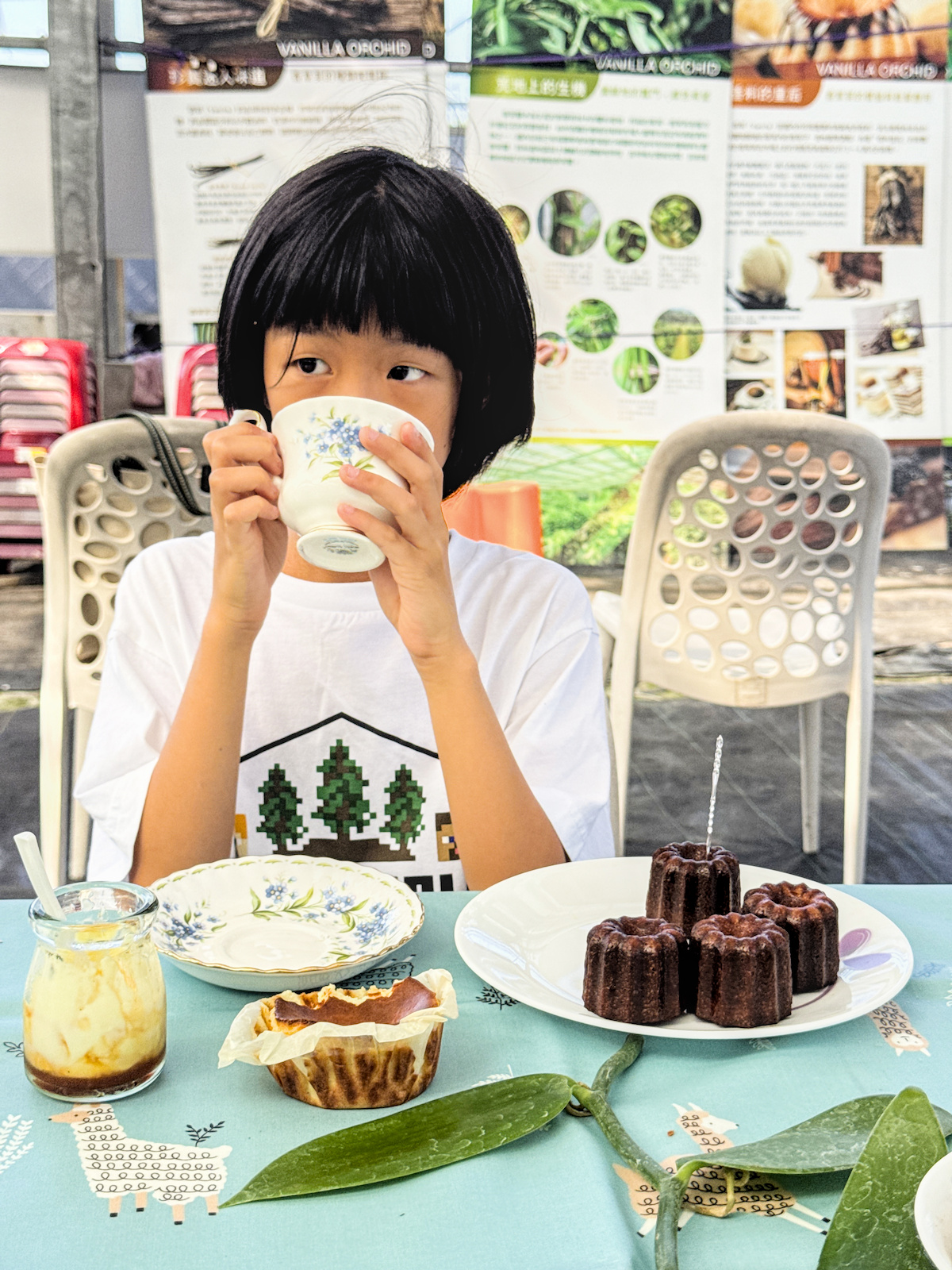 世界肯定的風味在屏東佳冬「向陽香莢蘭園」:從產地到甜點的頂級香草秘境深度探索 ✨ - 第8張圖 20251018 094628+0800 2793546