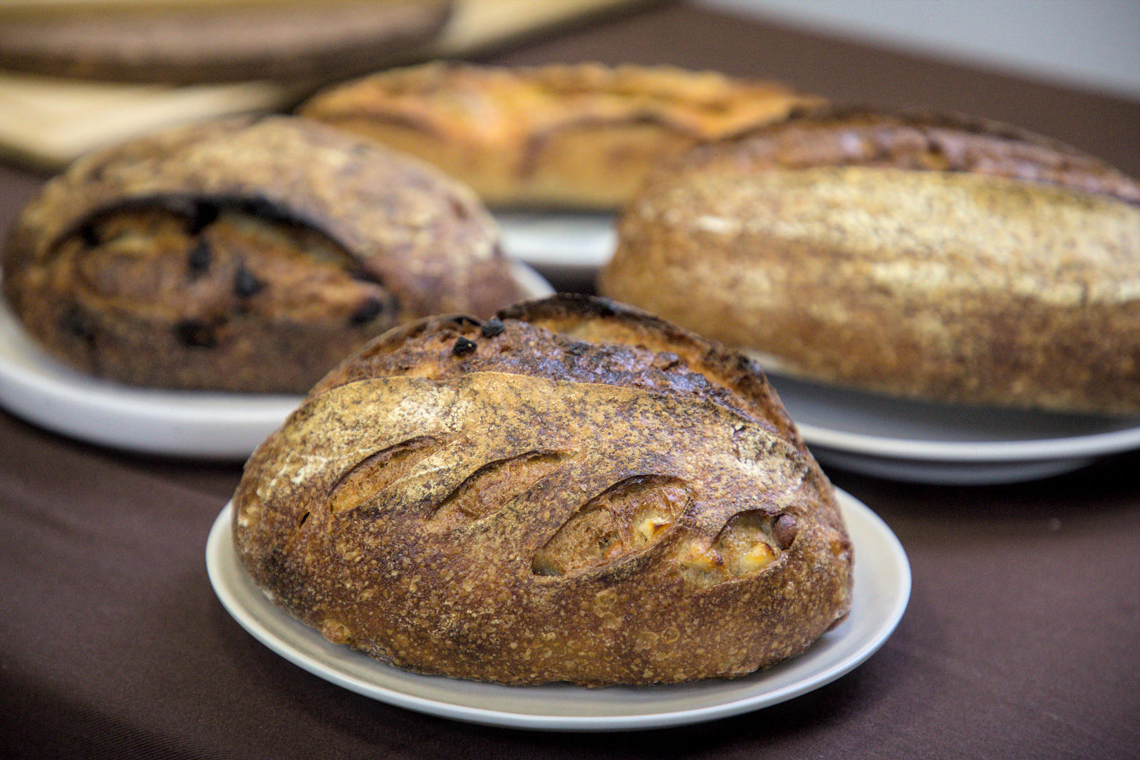 A Life bakery 招牌酸種全麥鄉村麵包,外皮酥脆、內部氣孔豐富,是人氣代表作。 A Life bakery 招牌酸種全麥鄉村麵包,外皮酥脆、內部氣孔豐富,是人氣代表作。