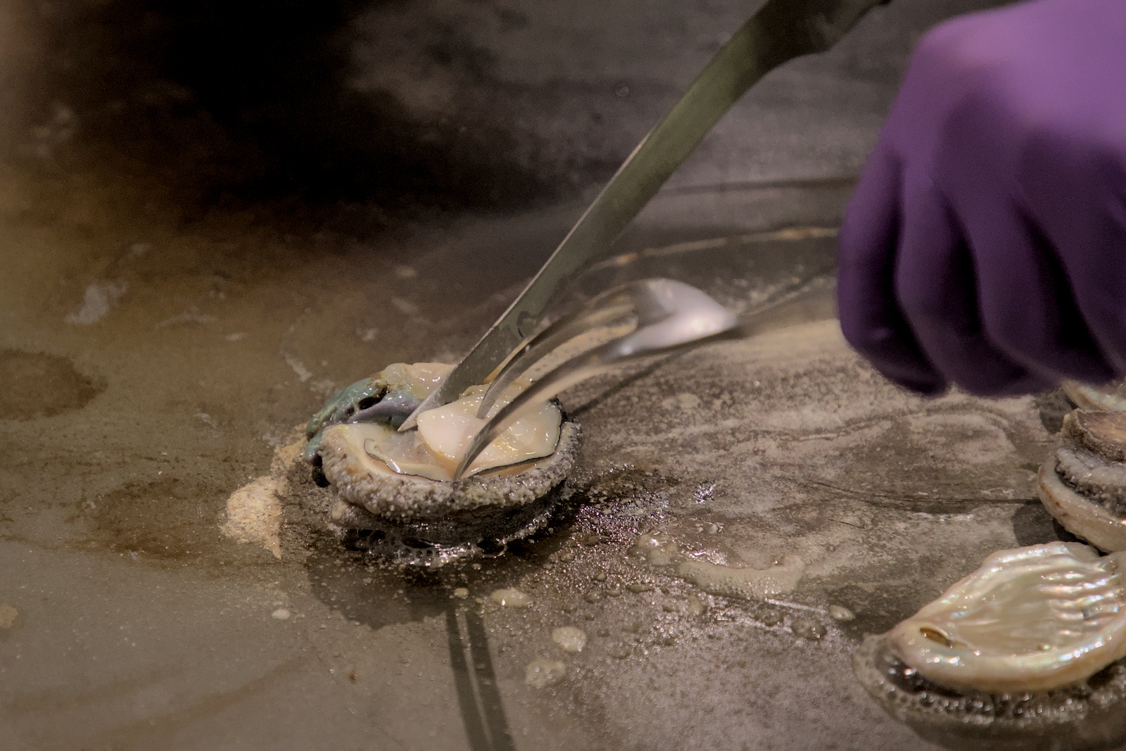 主廚利落處理熟成鮑魚，準備呈獻給客人