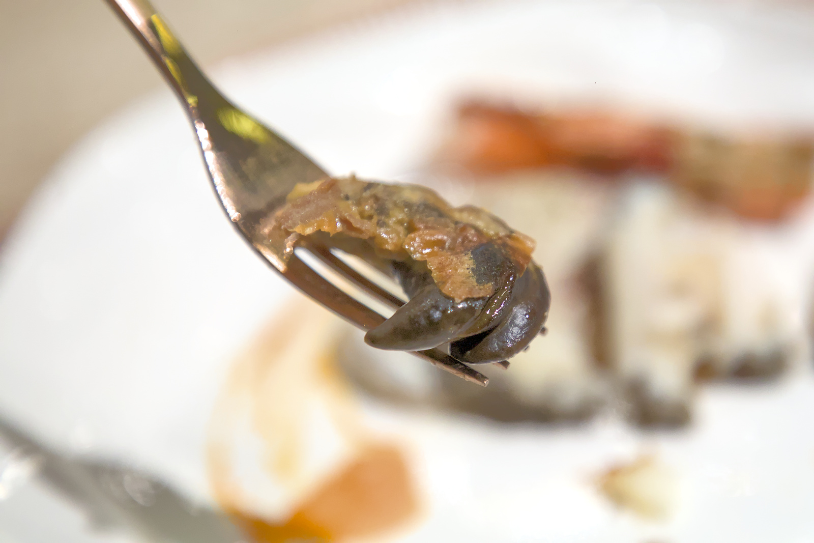 南非活鮑魚特寫，展現出豐腴多汁的質感