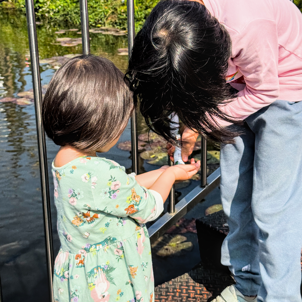 高雄大社美食》翠湖水上餐廳:觀音山腳下的夢幻水上包廂,招牌白斬雞必點! - 第9張圖 高雄大社美食》翠湖水上餐廳:觀音山腳下的夢幻水上包廂,招牌白斬雞必點!