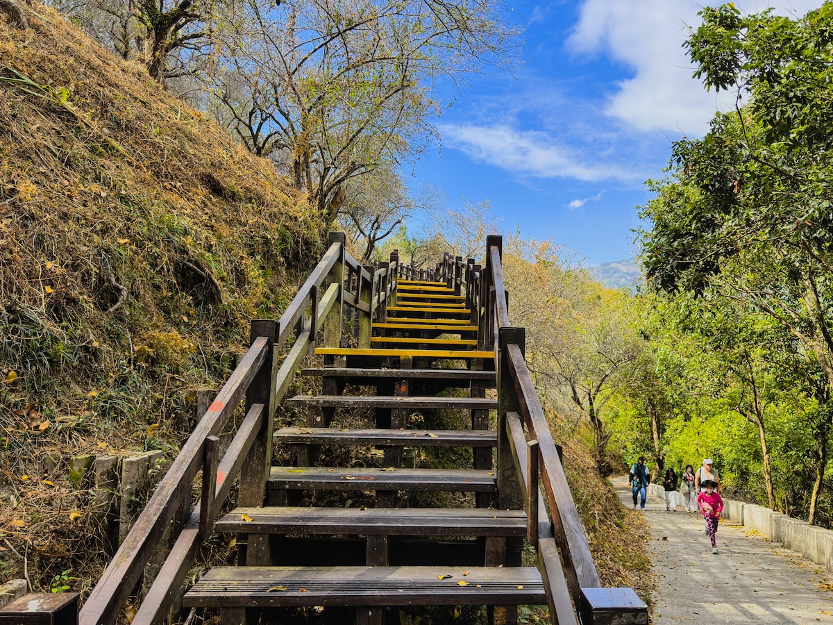 【六龜深度攻略】在寶來遺忘時間:稜線步道、龍眼木柴燒麵包與 40.3°C 的療癒工藝 - 第4張圖 【六龜深度攻略】在寶來遺忘時間:稜線步道、龍眼木柴燒麵包與 40.3°C 的療癒工藝