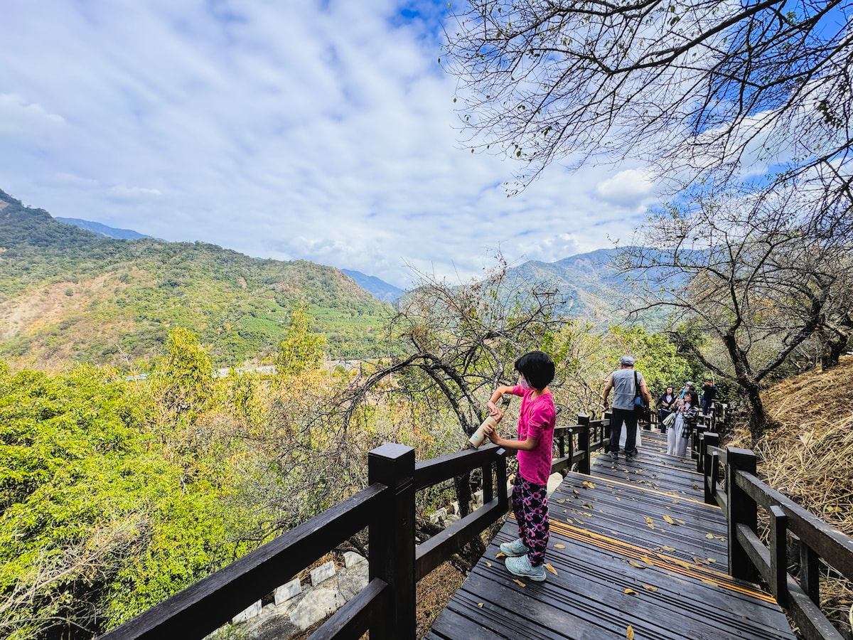 【六龜深度攻略】在寶來遺忘時間:稜線步道、龍眼木柴燒麵包與 40.3°C 的療癒工藝 - 第12張圖 【六龜深度攻略】在寶來遺忘時間:稜線步道、龍眼木柴燒麵包與 40.3°C 的療癒工藝