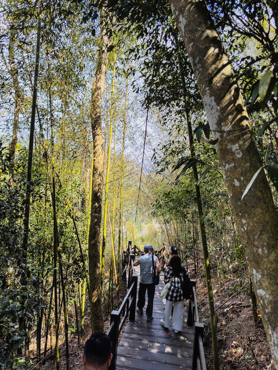 【六龜深度攻略】在寶來遺忘時間:稜線步道、龍眼木柴燒麵包與 40.3°C 的療癒工藝 - 第11張圖 【六龜深度攻略】在寶來遺忘時間:稜線步道、龍眼木柴燒麵包與 40.3°C 的療癒工藝