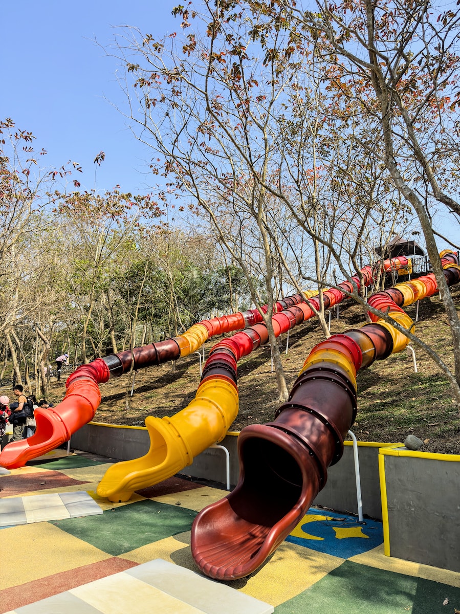 姊姊在森育冒險村挑戰高空滑梯的快樂瞬間