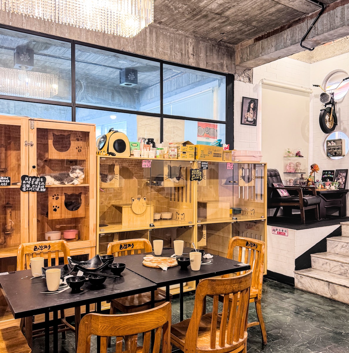 一兩餃子店內可愛擺飾與拍照角落，高雄大社觀音山附近的人氣餐廳，處處是小驚喜，搭配綠植與療癒氛圍，適合打卡分享