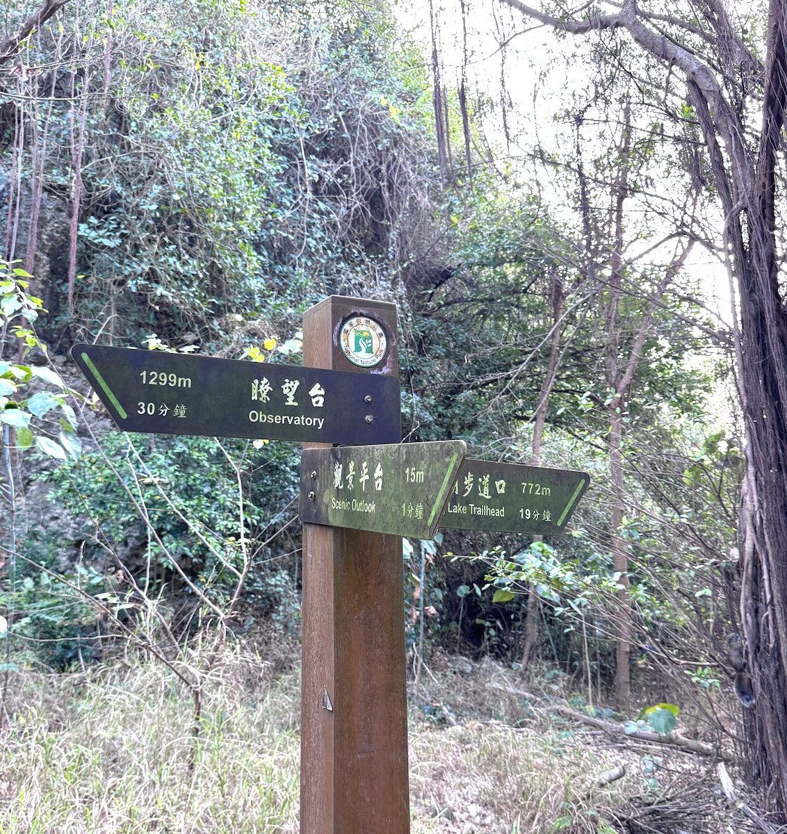 【高雄親子景點】半屏山健行全攻略：賞老鷹、看海景、探訪珊瑚礁石灰岩奇觀