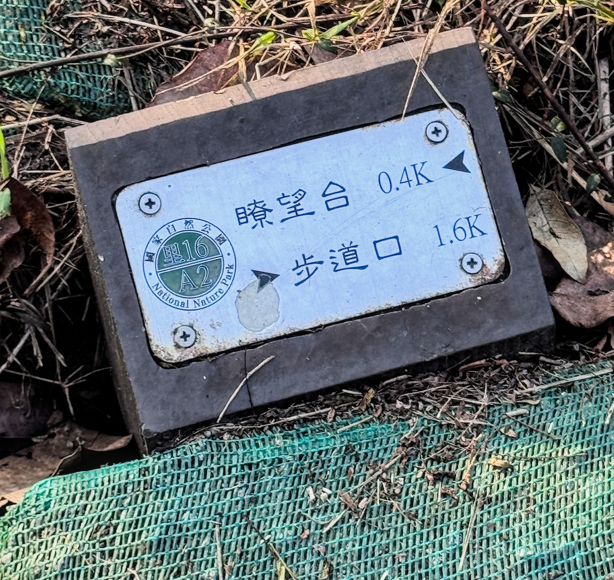 【高雄親子景點】半屏山健行全攻略：賞老鷹、看海景、探訪珊瑚礁石灰岩奇觀