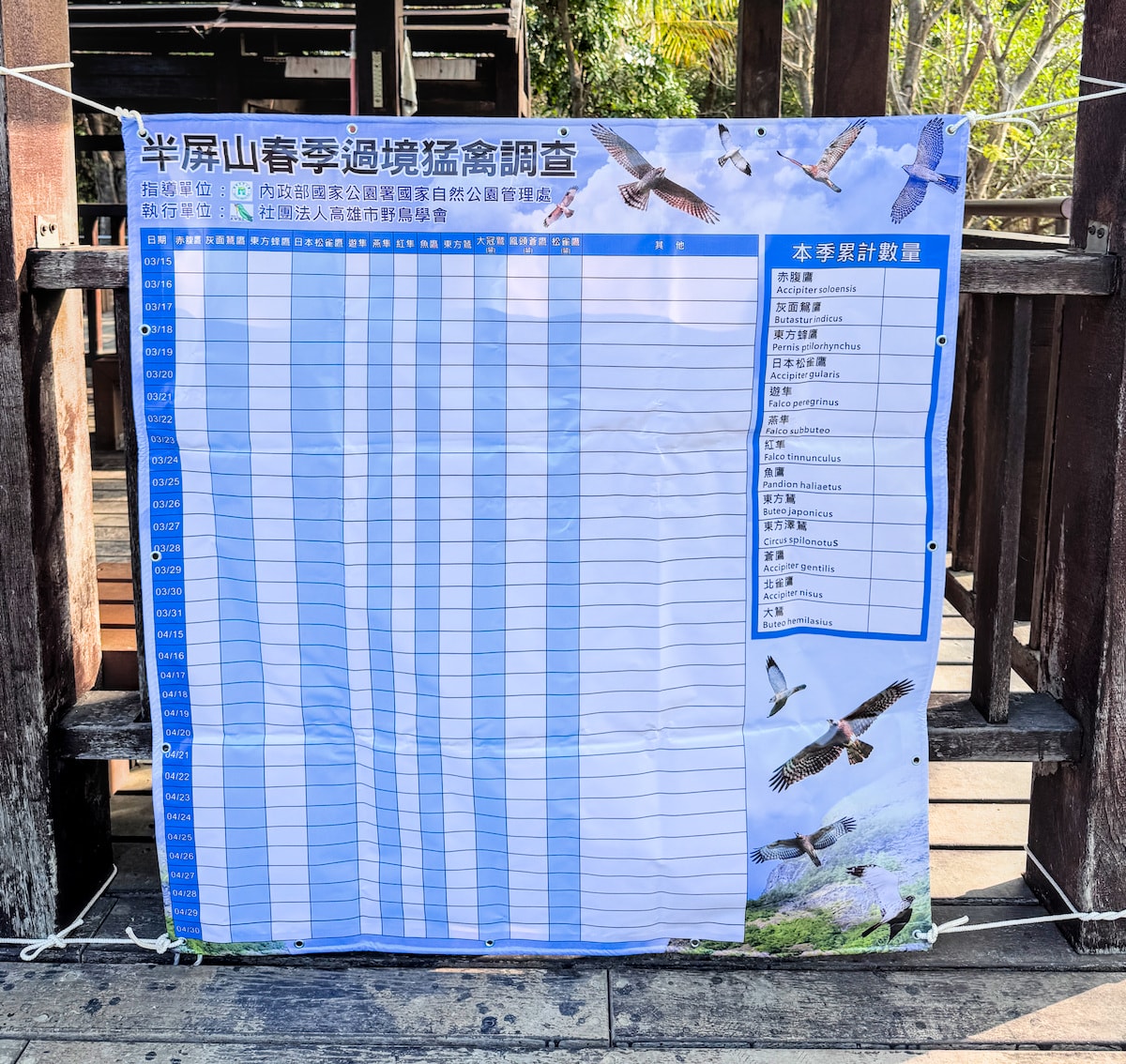 【高雄親子景點】半屏山健行全攻略：賞老鷹、看海景、探訪珊瑚礁石灰岩奇觀