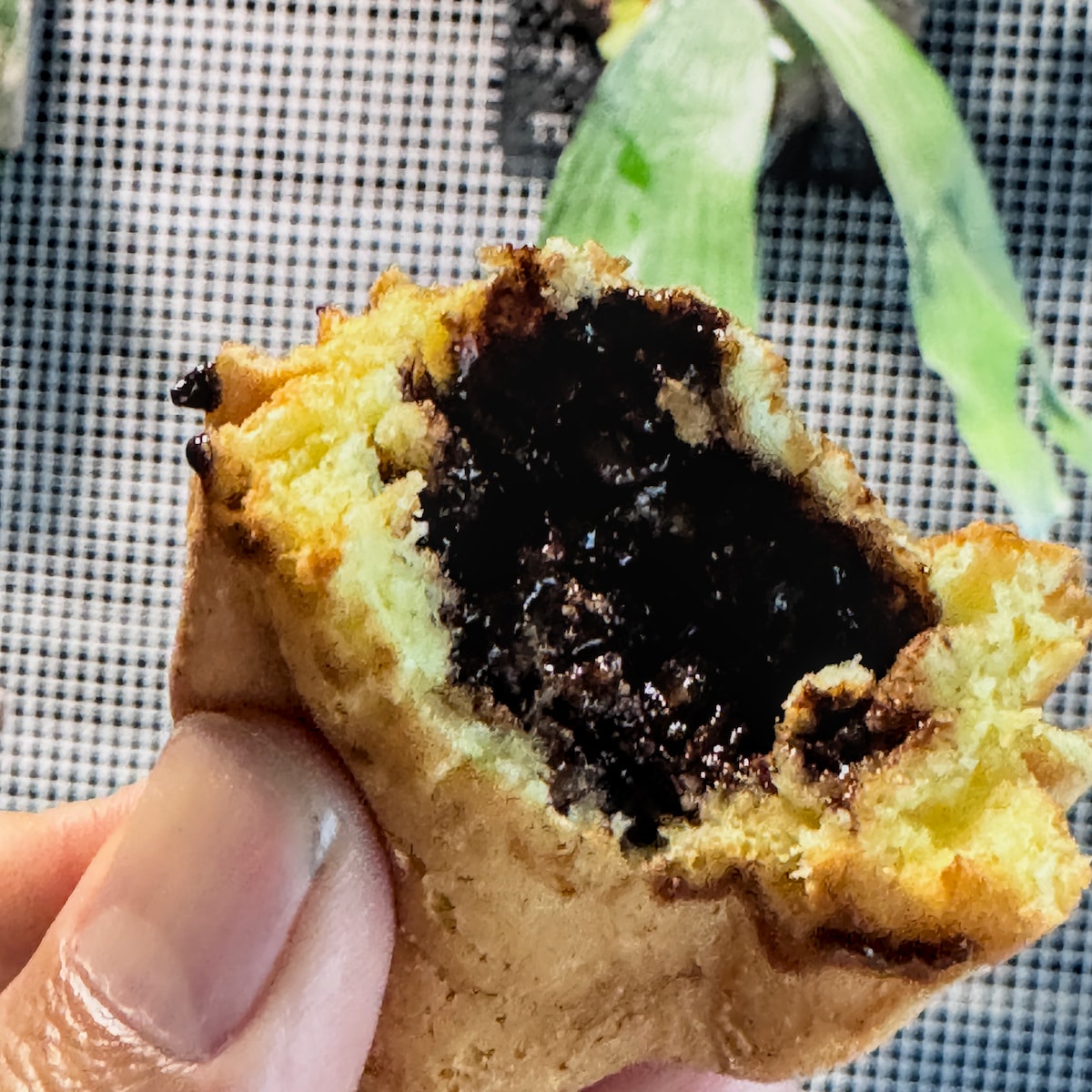 高雄路竹美食|沐柴雞蛋糕:嚴選靈芝機能蛋與純鮮奶,堅持不加泡打粉的職人風味。 - 第7張圖 高雄路竹美食|沐柴雞蛋糕:嚴選靈芝機能蛋與純鮮奶,堅持不加泡打粉的職人風味。