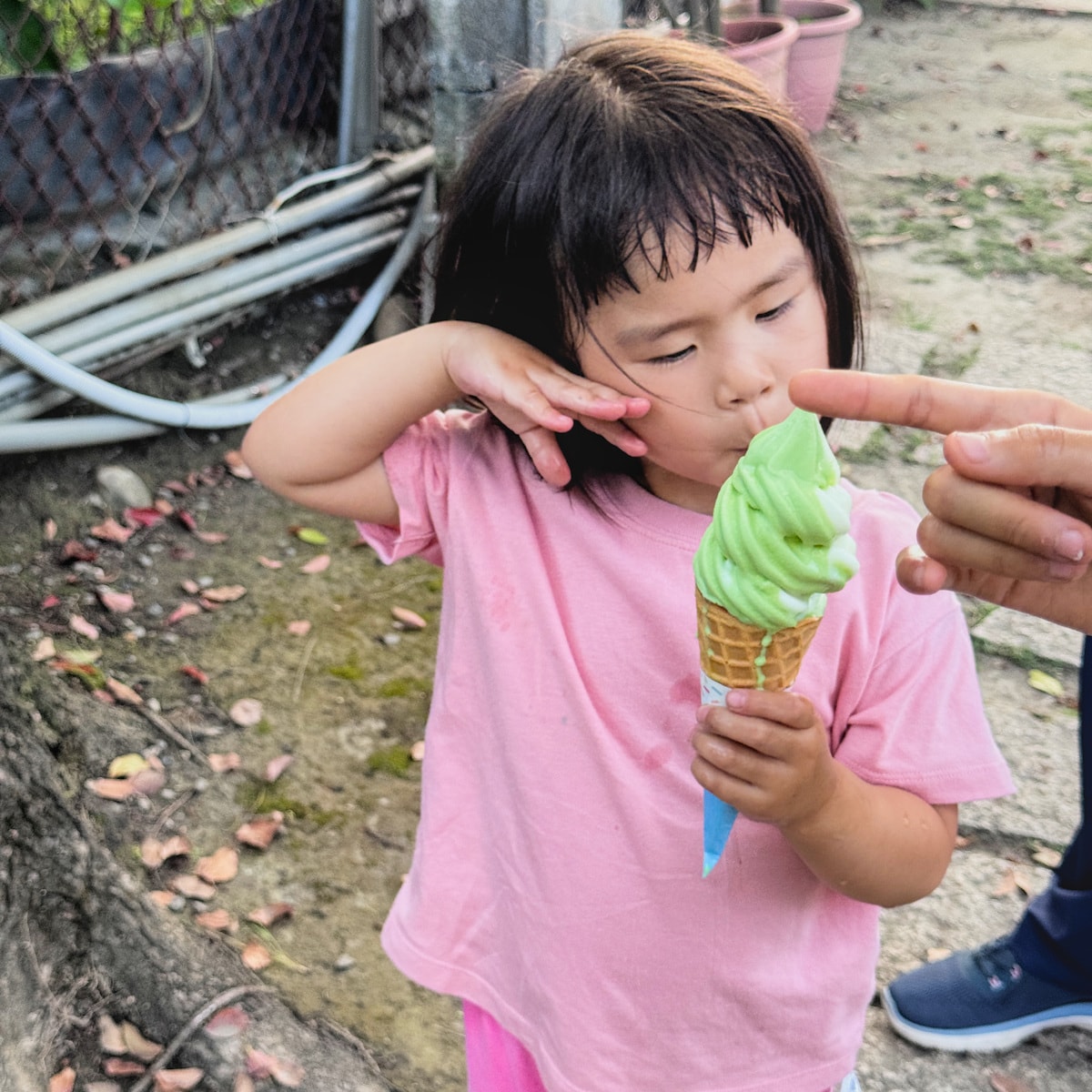 假日放生小孩好地方!農友種苗有免費冰、沙坑、法式滾球,還能逛超大園藝門市 - 第16張圖 假日放生小孩好地方!農友種苗有免費冰、沙坑、法式滾球,還能逛超大園藝門市