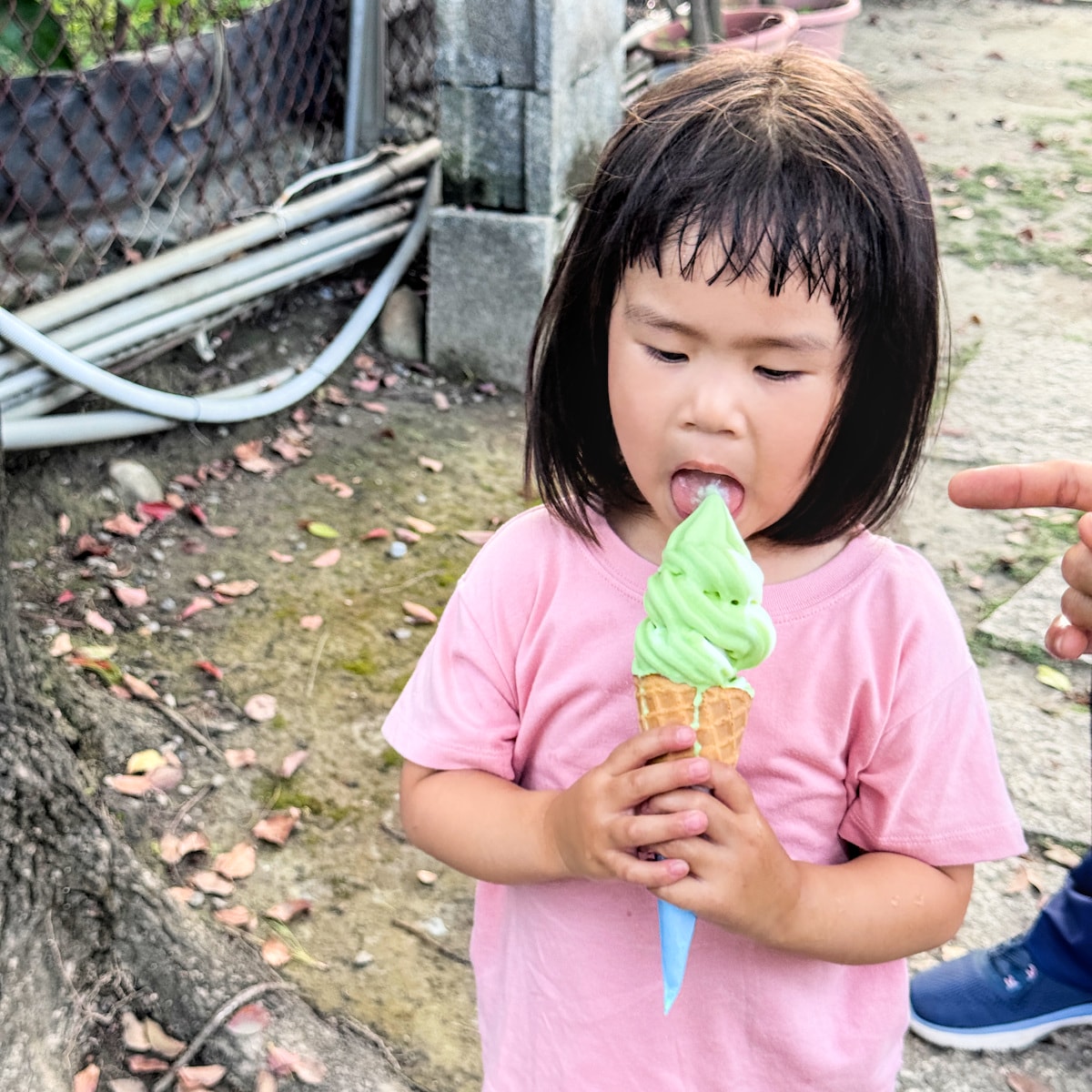 假日放生小孩好地方!農友種苗有免費冰、沙坑、法式滾球,還能逛超大園藝門市 - 第18張圖 假日放生小孩好地方!農友種苗有免費冰、沙坑、法式滾球,還能逛超大園藝門市