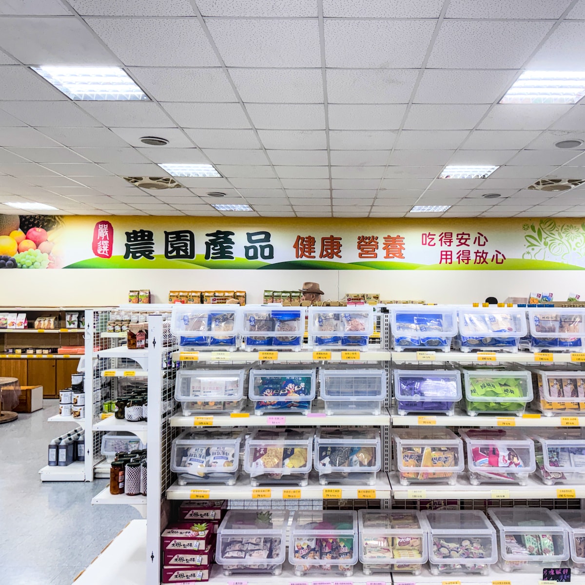 假日放生小孩好地方!農友種苗有免費冰、沙坑、法式滾球,還能逛超大園藝門市 - 第7張圖 假日放生小孩好地方!農友種苗有免費冰、沙坑、法式滾球,還能逛超大園藝門市