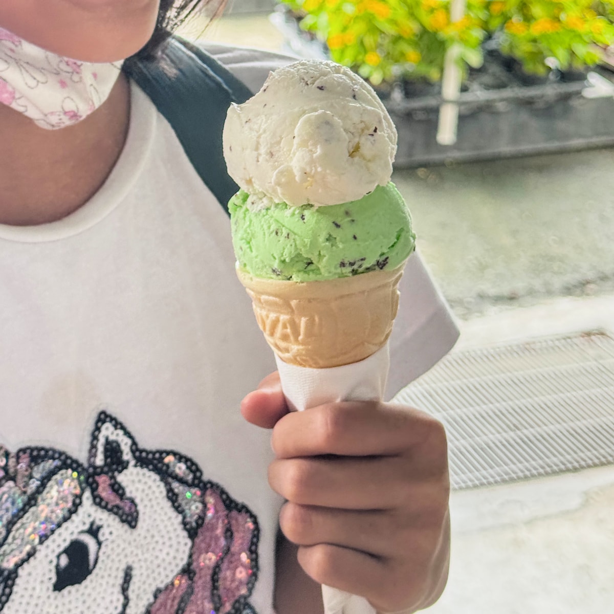 假日放生小孩好地方!農友種苗有免費冰、沙坑、法式滾球,還能逛超大園藝門市 - 第13張圖 假日放生小孩好地方!農友種苗有免費冰、沙坑、法式滾球,還能逛超大園藝門市