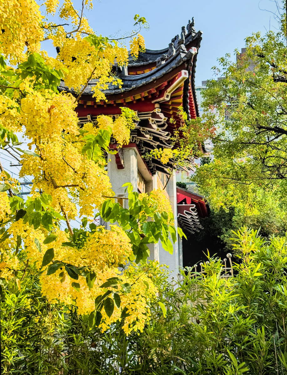 【高雄楠梓景點】享平公園水樂園：2026 免門票戲水天堂，更衣沖淋設施全紀錄，順遊慈雲寺黃金雨！