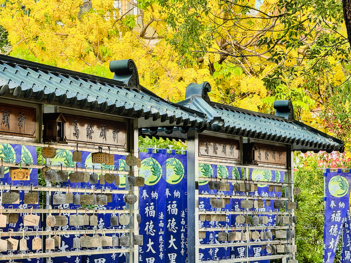 【高雄楠梓景點】享平公園水樂園：2026 免門票戲水天堂，更衣沖淋設施全紀錄，順遊慈雲寺黃金雨！