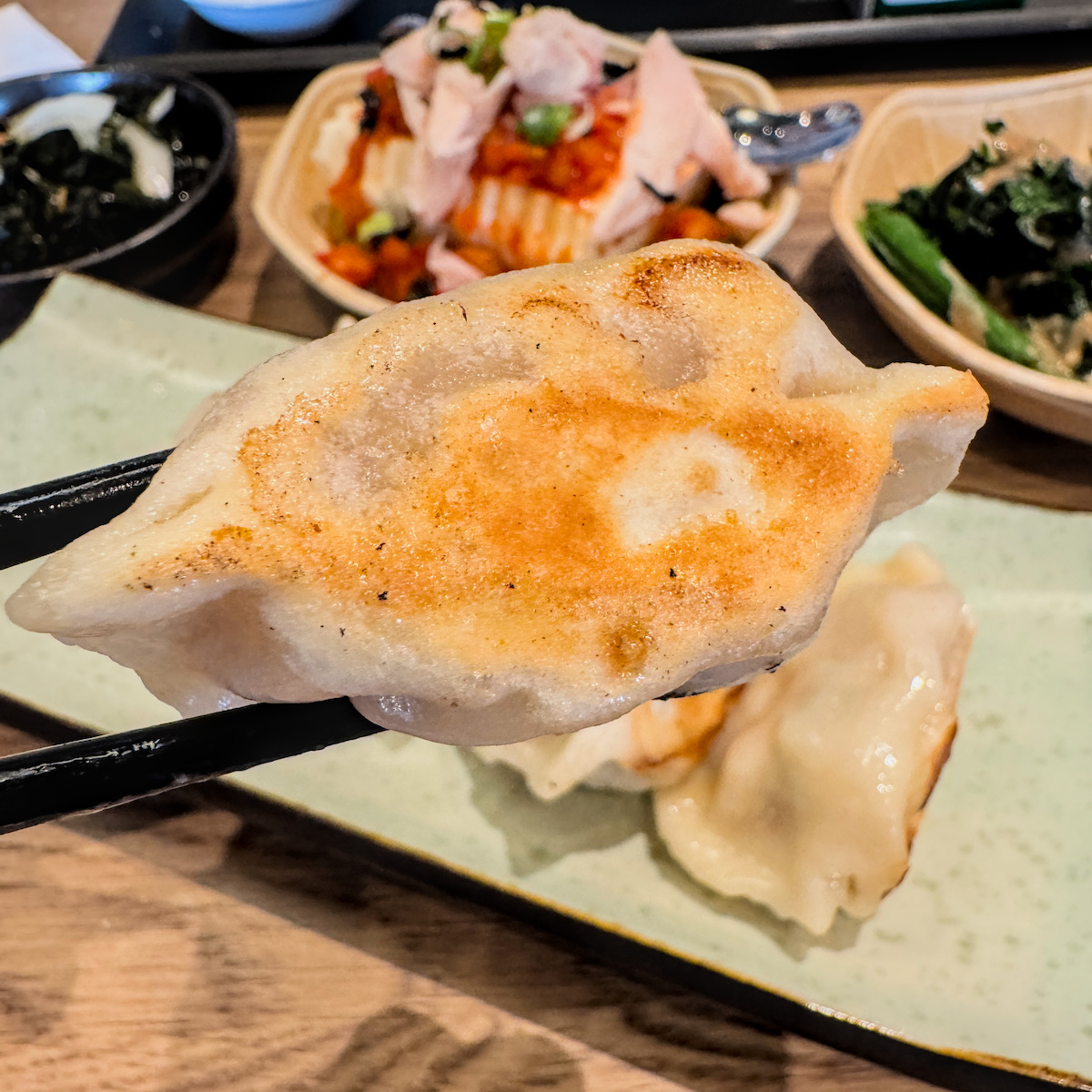 樂麵屋招牌煎餃特寫：咬開後內餡飽滿紮實且保有豐富肉汁感