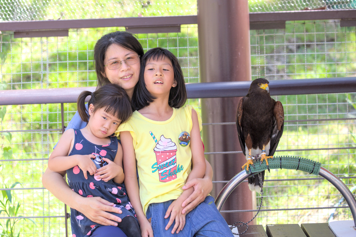 野森動物學校狐狸小學堂日本傳統紙芝居木製戲台表演
