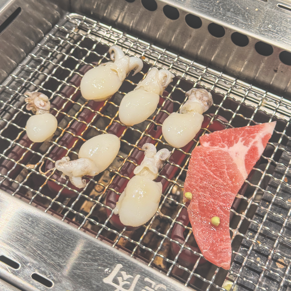 鮮小花枝6P 鮮小花枝六隻,新鮮海味烤後Q彈鮮甜,適合搭配柚鹽享用