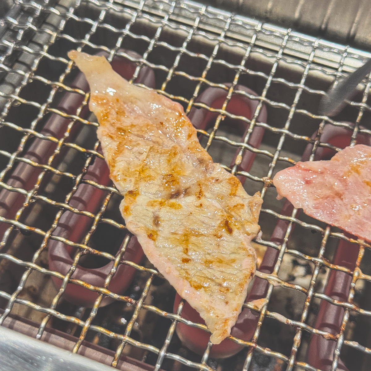 活菌豚梅花360元|IKIGAI燒肉 活菌豚梅花360元,IKIGAI燒肉專門店高雄左營店實拍,美食開箱與用餐分享