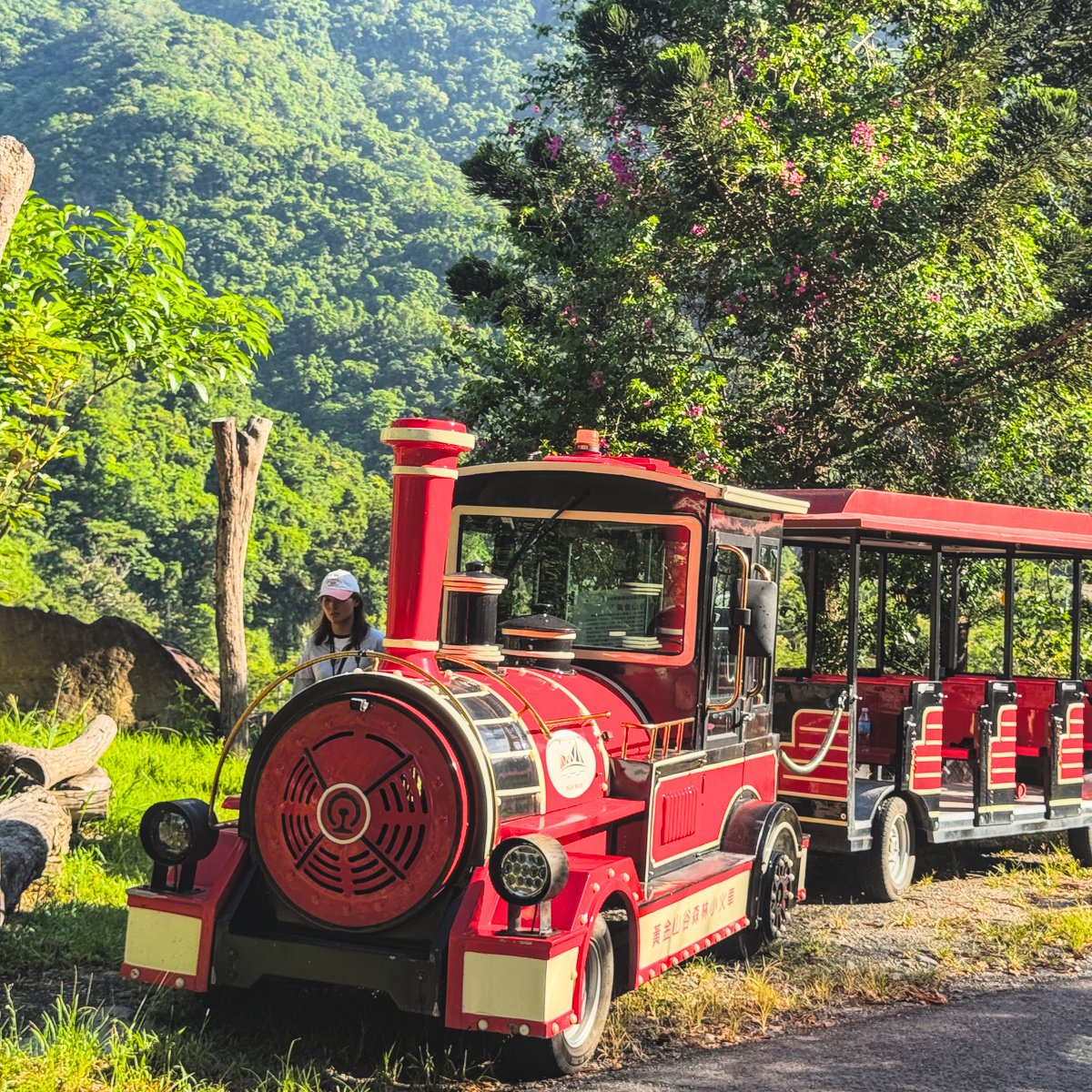 RELAX黃金山谷360度環景森林小火車穿梭台東原始森林，欣賞金崙山谷自然景觀，是親子旅遊與網美拍照熱門景點。