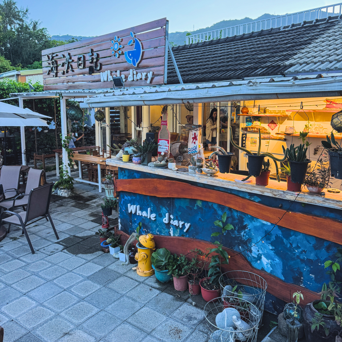 台東太麻里海泱日記 Whale Diary Resort 環境與餐點實拍，展現季節水果冰、庭園空間、店貓與千禧曙光紀念園區旁的療癒慢旅行氛圍