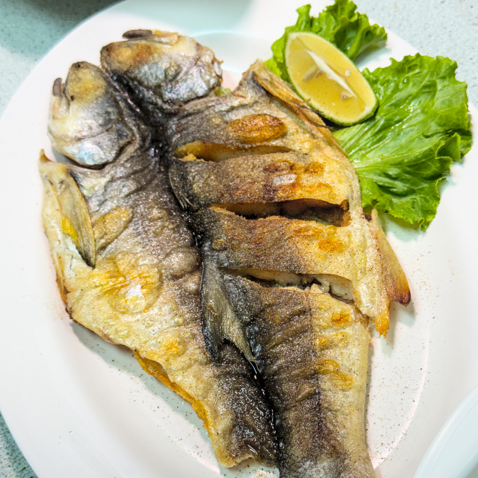 台東太麻里和平飯店乾煎午仔魚實拍,美食料理與用餐環境照片,展現太麻里在地美食、台東海鮮餐廳特色,適合聚餐與旅遊品嚐。 台東太麻里和平飯店乾煎午仔魚實拍,美食料理與用餐環境照片,展現太麻里在地美食、台東海鮮餐廳特色,適合聚餐與旅遊品嚐。